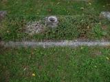 image of grave number 113392